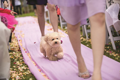 Photo by Jim Liaw Photography Photography, courtesy of Cynthia Lim